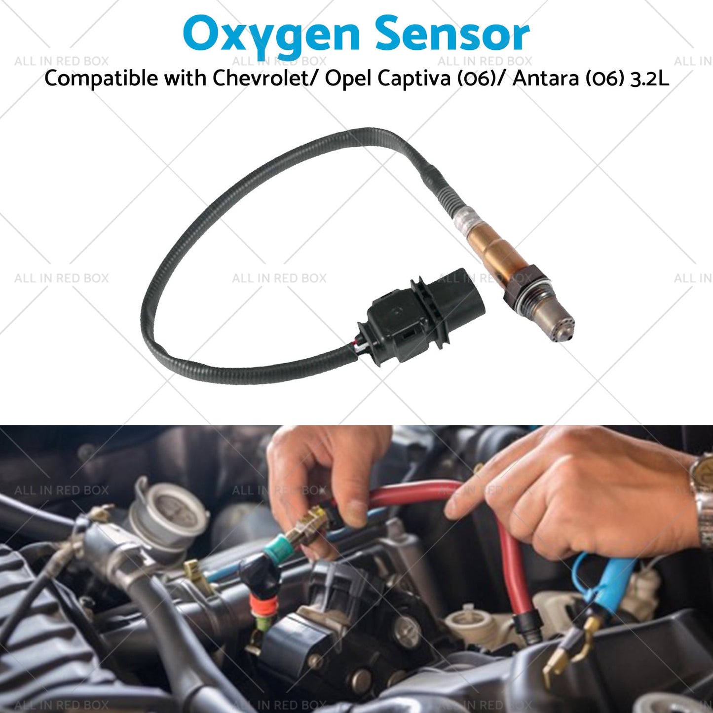 Oxygen Sensor Suitable for Calais VE Holden Captiva CG Commodore 3. 6L 92210450-4