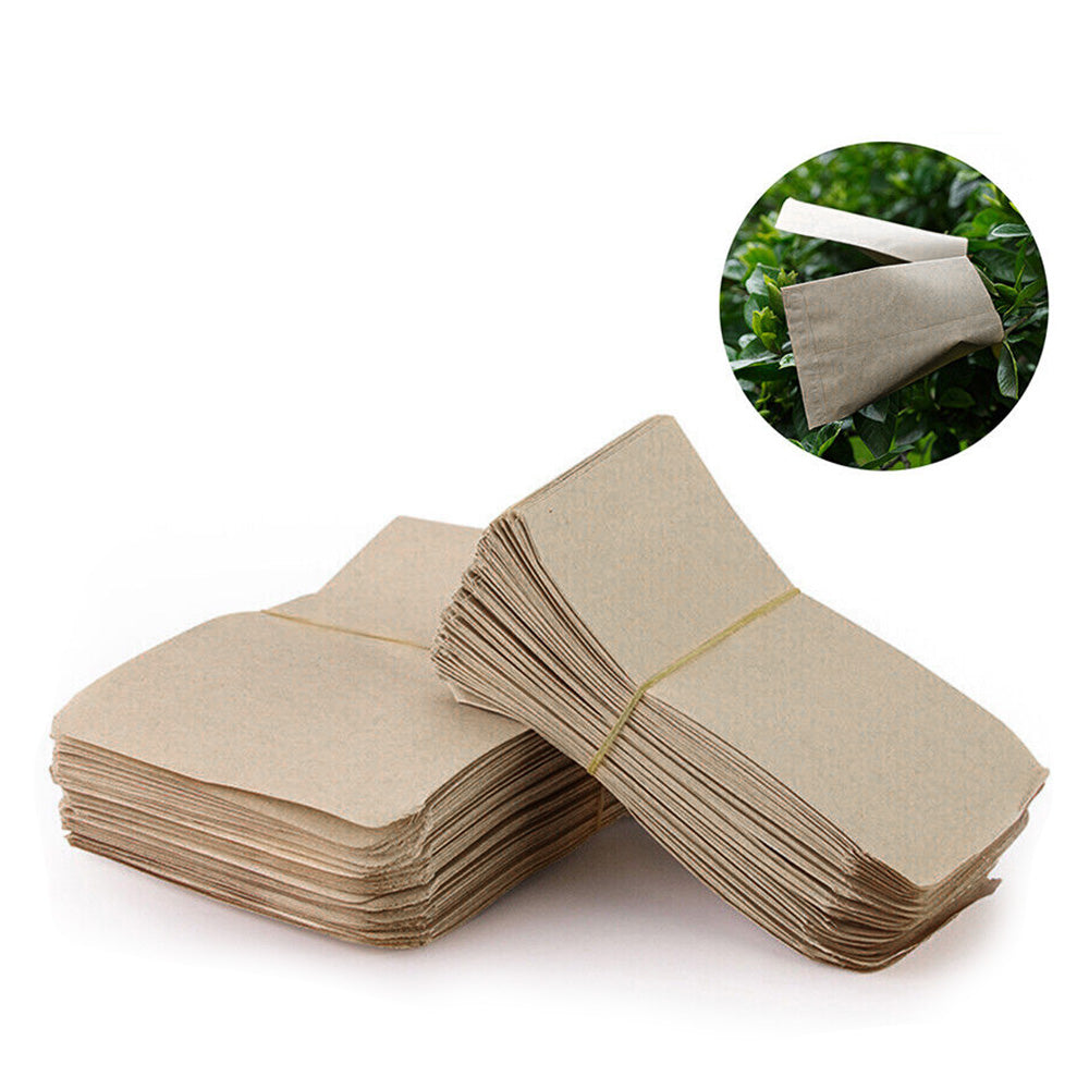 100/200PCS Coin Envelope Cash Check Ticket Salary Grain Seed Key Post Office-2