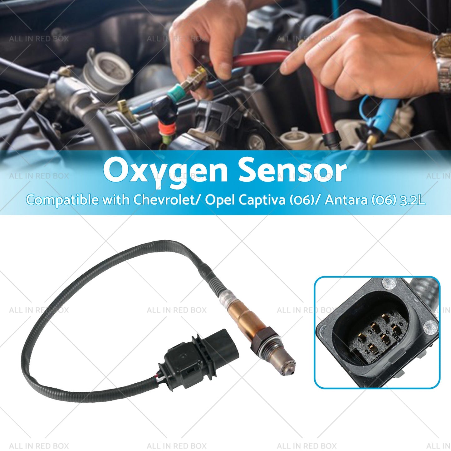 Oxygen Sensor Suitable for Calais VE Holden Captiva CG Commodore 3. 6L 92210450-3
