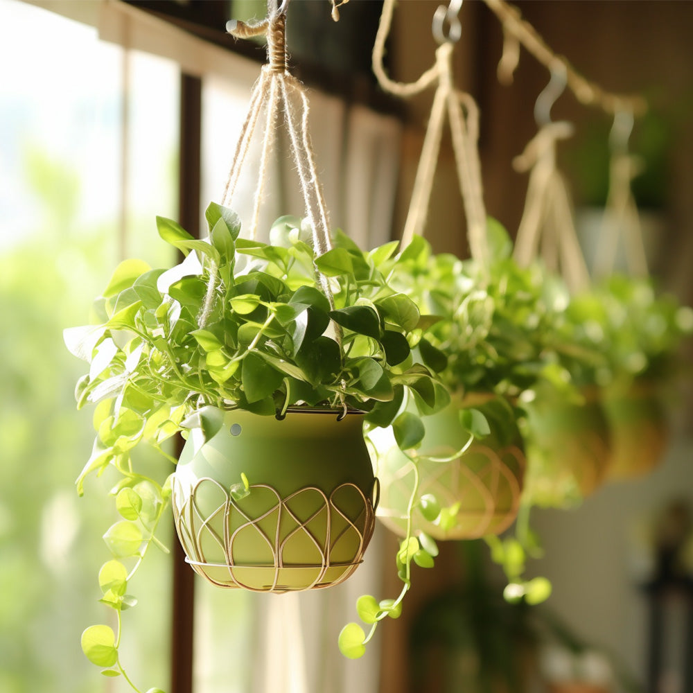 S Shaped Hooks Small Metal for Hanging Plants Mini Ornament Hooks Black Hangers-2