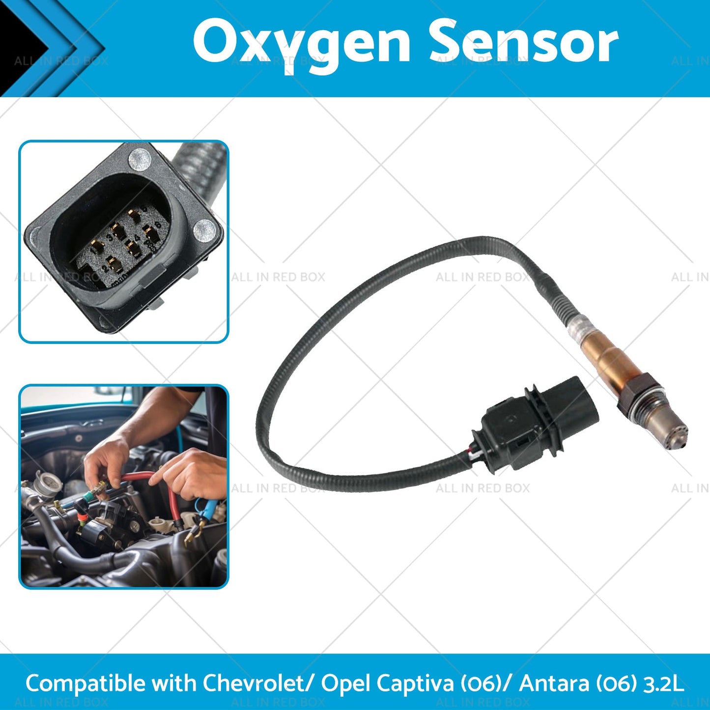 Oxygen Sensor Suitable for Calais VE Holden Captiva CG Commodore 3. 6L 92210450-2