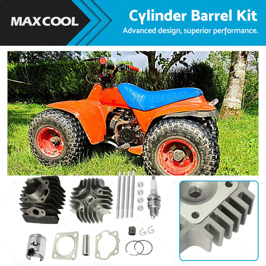 Cylinder Top End Kit Piston Ring Gasket Suitable for Suzuki LTA50 LT50 JR50-0