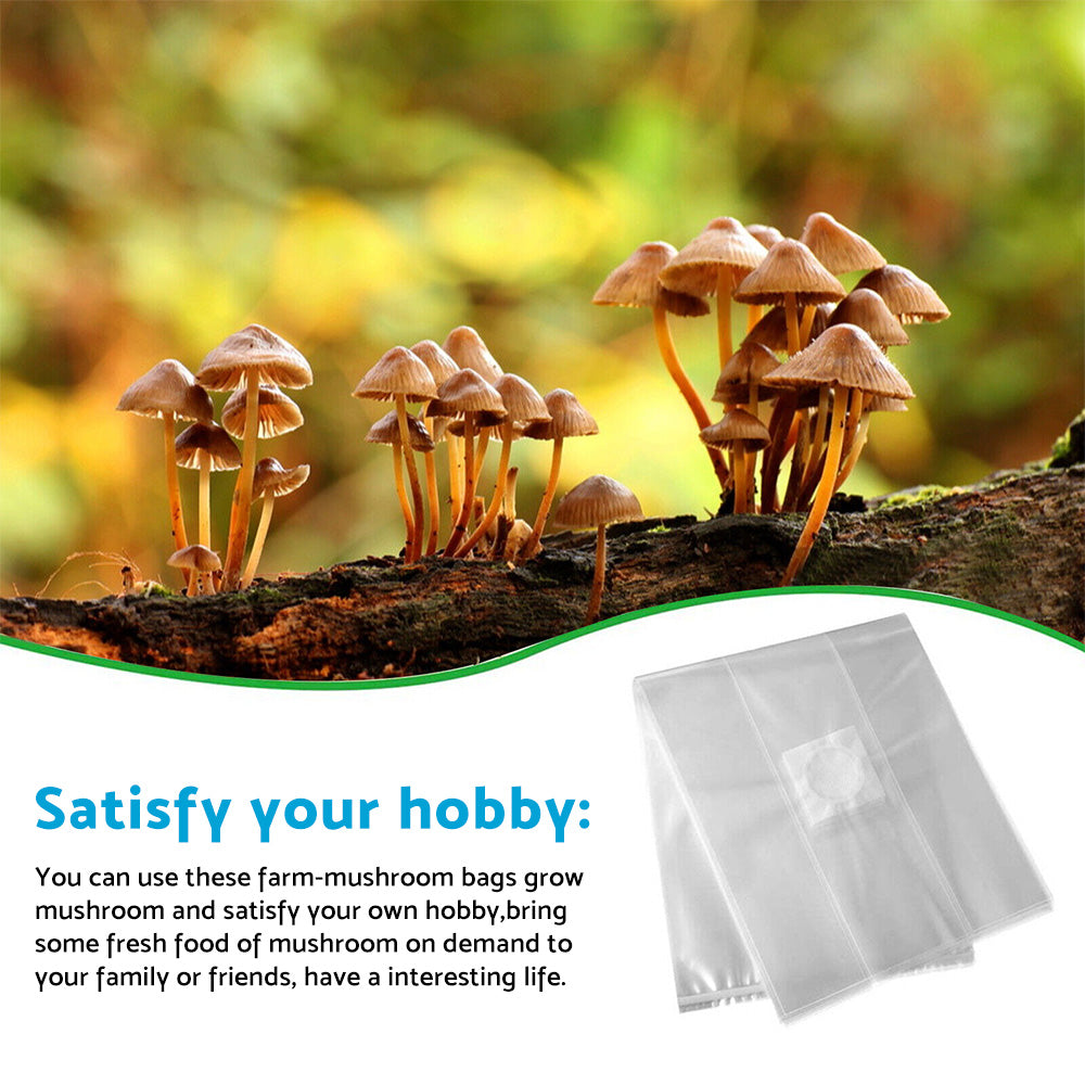 50X Mushroom Growing Bag Breathable Autoclavable Stand Up Tear Resistant Strong-2
