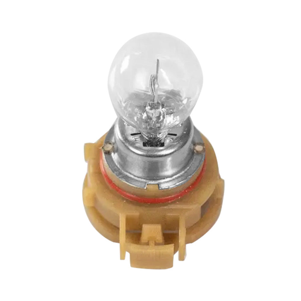 2x PSX24W 12V 24W PG20/7 Fog Light Clear Globe Bulbs-2