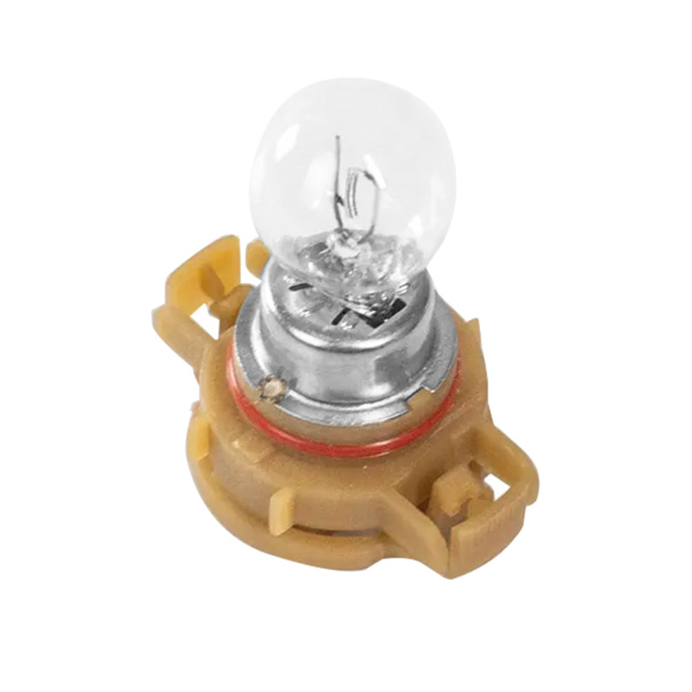 2x PSX24W 12V 24W PG20/7 Fog Light Clear Globe Bulbs-3