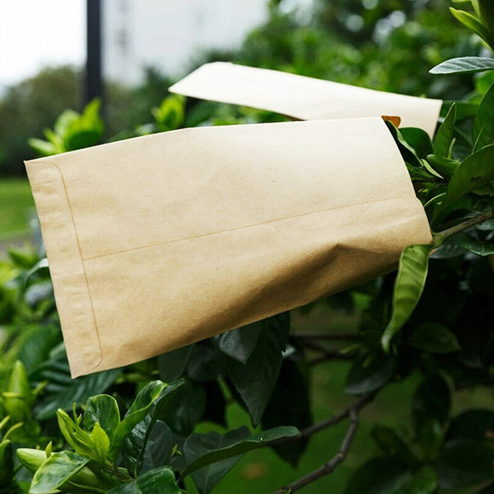 Kraft Paper Seed Packets Garden Home Storage Bags Mini Envelopes 6x11cm-3