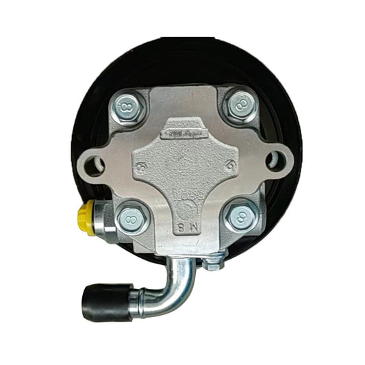 Power Steering Pump  and  Pulley For Holden Commodore 6. 0L V8 VE VZ L98  2005-2013-1