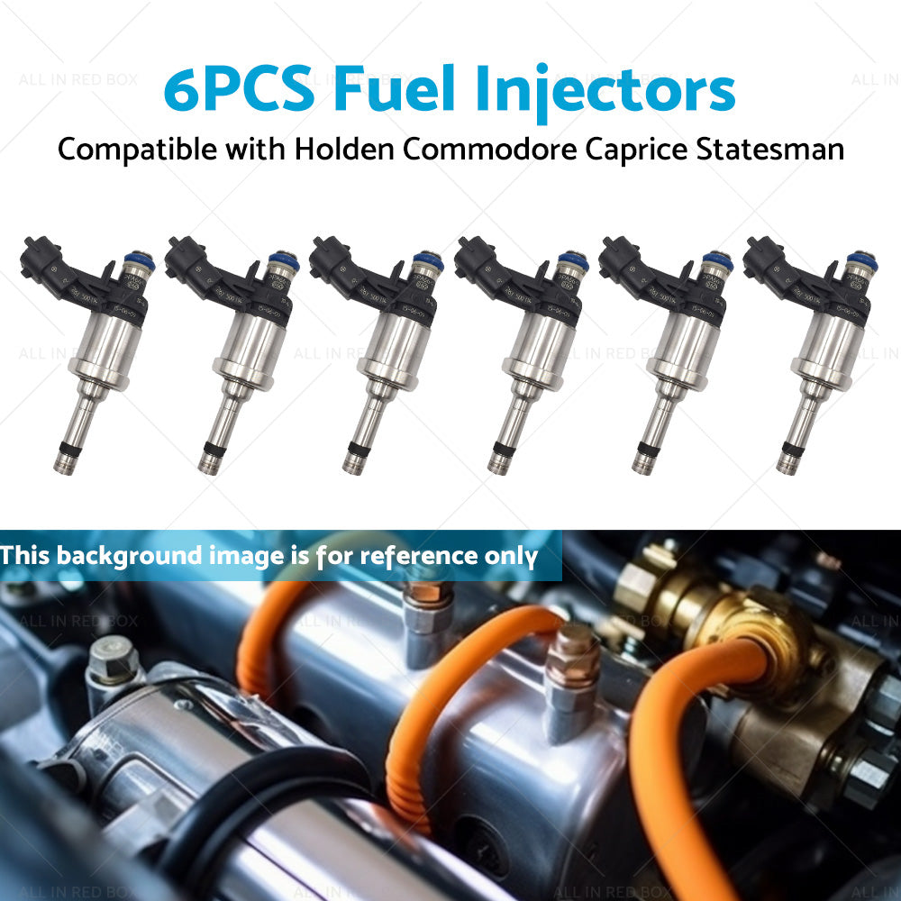 6PCS Fuel Injector Suitable For Holden Commodore VE Caprice WM 3. 6L V6 12632255-3