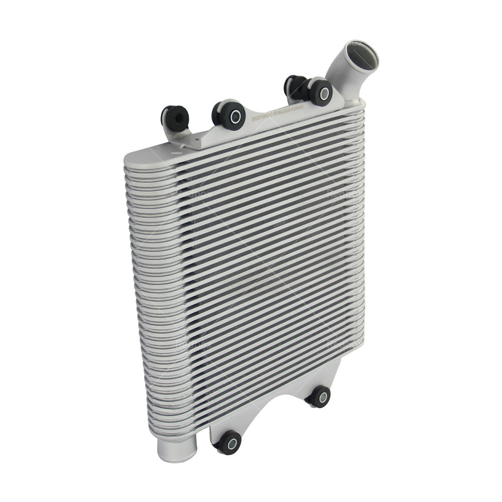 INTERCOOLER FIT ISUZU D-MAX TF RODEO RA COLORADO RC 3. 0L 4JJ1 TURBO DIESEL-2