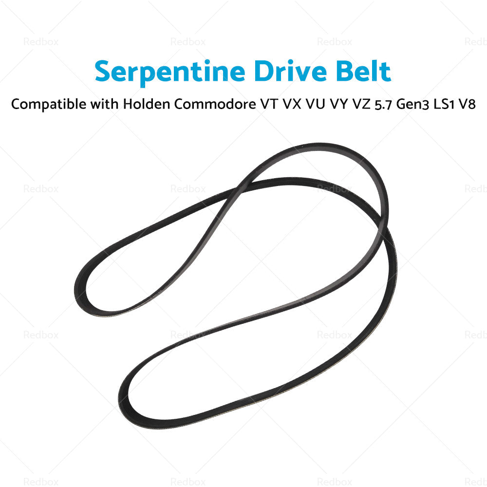 Drive Belt Suitable for Holden VT VX VU VY VZ Commodore 5. 7 Gen3 LS1 V8 6PK1995-1