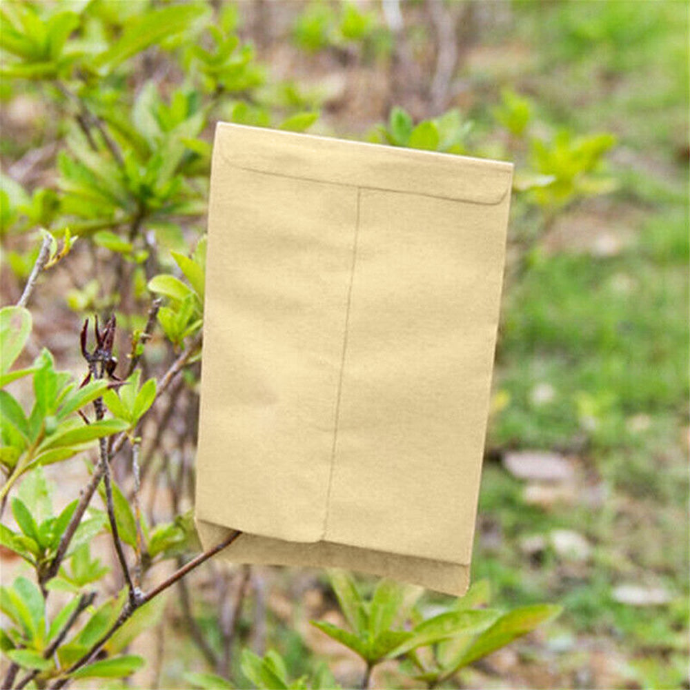 Kraft Paper Seed Packets Garden Home Storage Bags Mini Envelopes 6x11cm-2